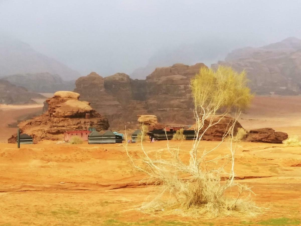 Bedouin Culture Camp Вади-Рам Экстерьер фото